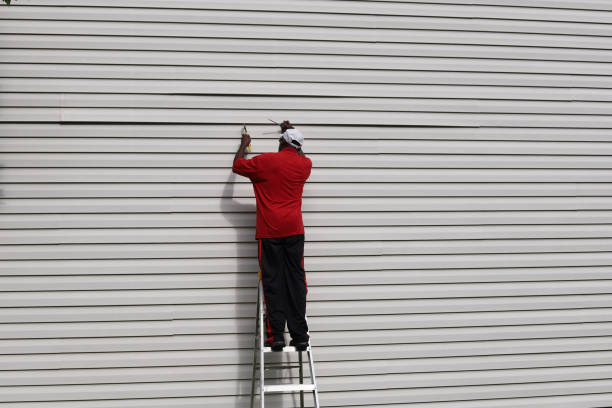 Best Steel Siding Installation  in Rome, GA